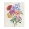 Stupell Industries Blooms On Parchment Canvas, design by June Erica Vess